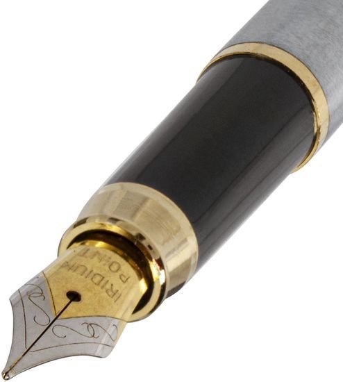 Ручка перьевая BRAUBERG Brioso 143464