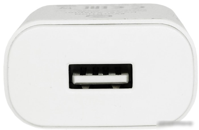 Сетевое зарядное Evolution A70 -050200U-EU1