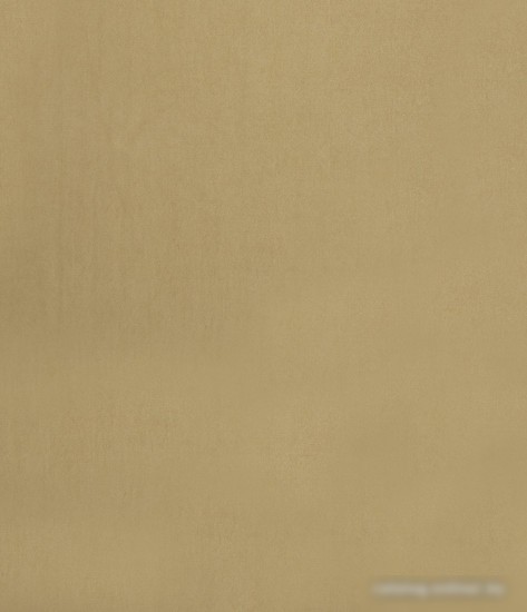 Штора Legrand Канвас 2x2.6 м 58094165 (бежево-золотистый)