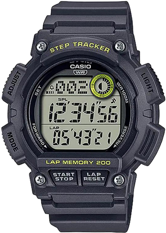 Наручные часы Casio WS-2100H-8A