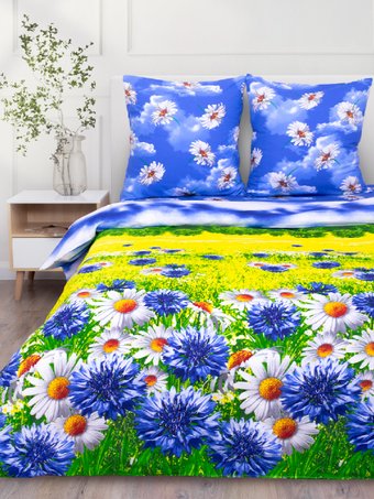 2-спальный комплект постельного белья Василиса Delight 2сп 70x70 4268/1