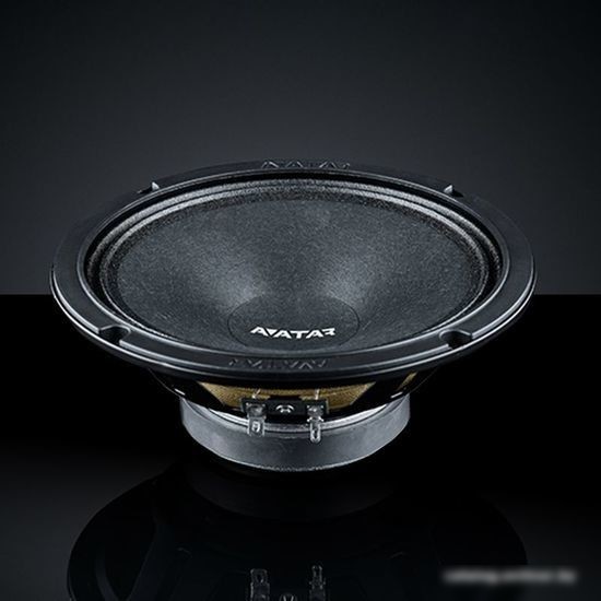 Среднечастотная АС Avatar MBR-61