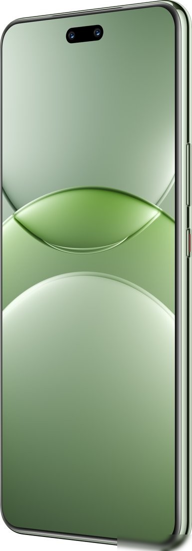 Телефон Huawei nova 13 Pro MIS-LX9 12GB/512GB (дымчатый зеленый)