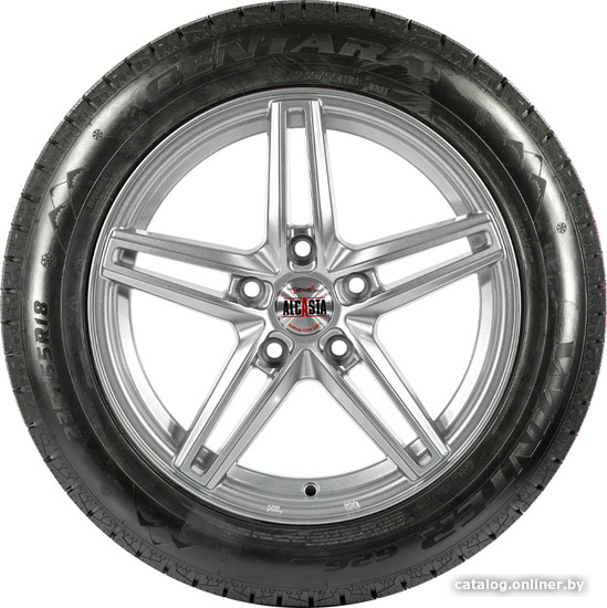 Зимние шины Centara Winter RX626 235/55R19 101T
