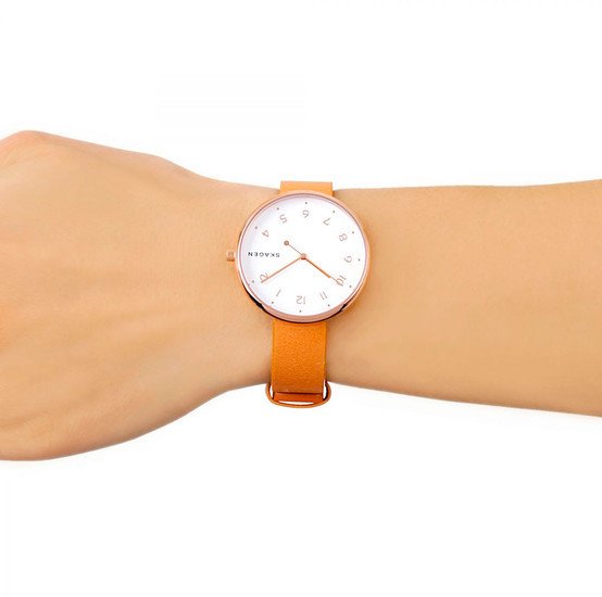 Наручные часы Skagen SKW2624