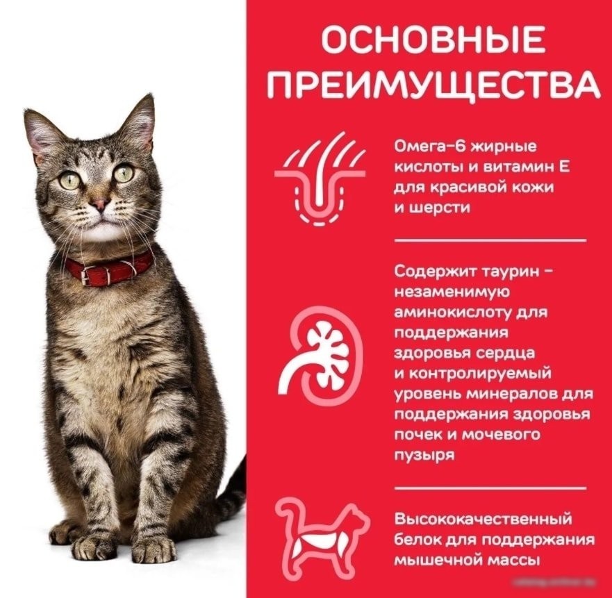Сухой корм для кошек Hill's Science Plan Adult 1-6 Chicken для взрослых кошек для поддержания жизненной энергии и иммунитета, с курицей 10 кг