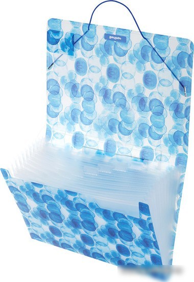 Папка для бумаг Berlingo Bubbles XF4_12601