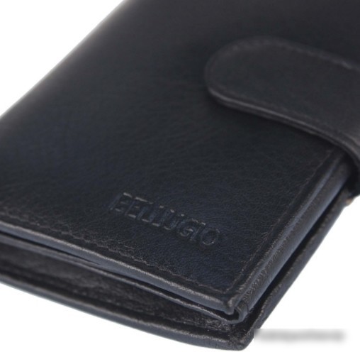 Кошелек Bellugio AM-01R-073