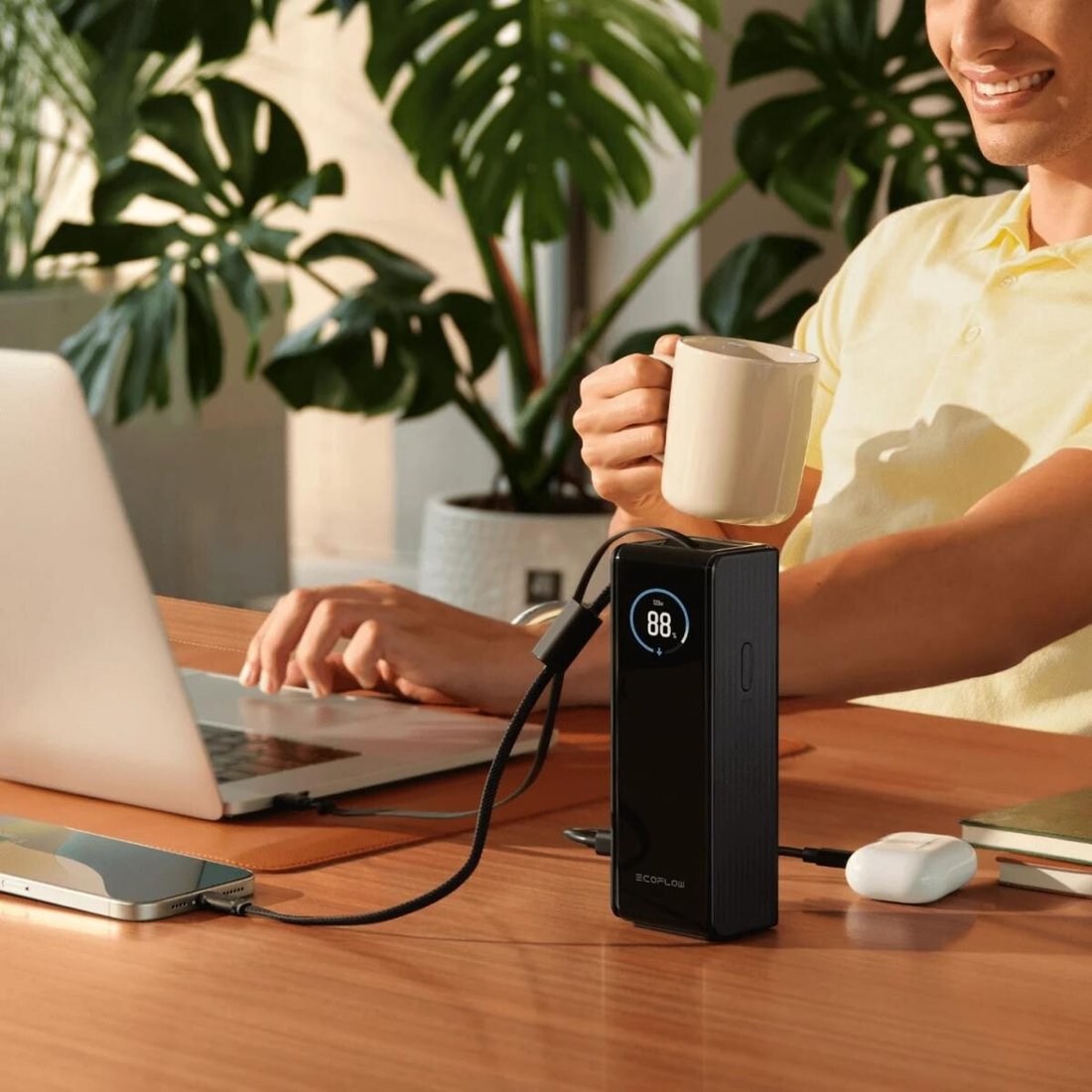 Внешний аккумулятор EcoFlow Rapid 25000mAh (с кабелями 100 Вт, 170 Вт, серебристый)