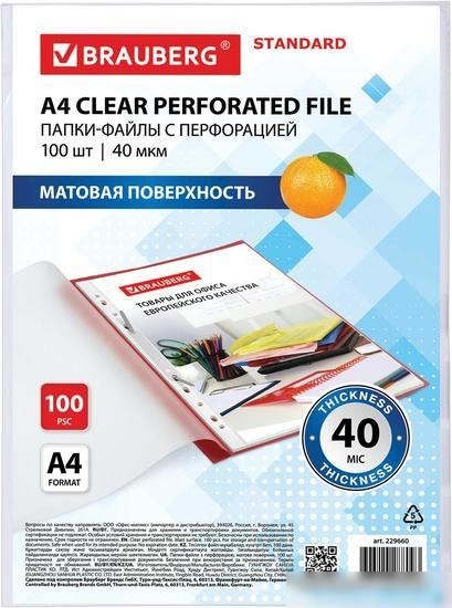 Набор файлов BRAUBERG STANDARD 229660 (100 шт)