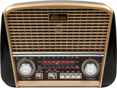 Радиоприемник Ritmix RPR-050 (золотой)
