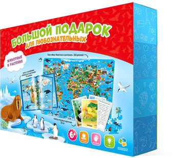 Развивающая игра ГеоДом Мой мир. Большой 5204
