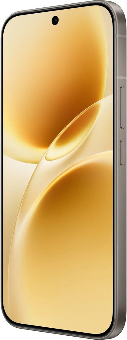 Телефон Vivo V70 V2538 12GB/256GB международная версия (серый)
