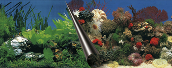 Фон Aqua Della Stone & Coral 80x40 см 241/108857