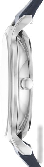 Наручные часы Skagen SKW2719