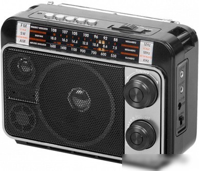 Радиоприемник Ritmix RPR-171