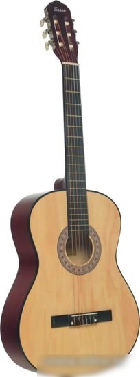 Акустическая гитара Terris TC-3901A NA