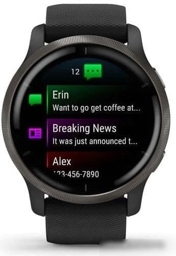 Умные часы Garmin Venu 2 (сланцевая нержавеющая сталь/черный)