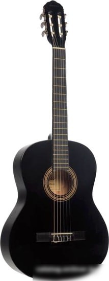 Акустическая гитара Terris TC-390A BK