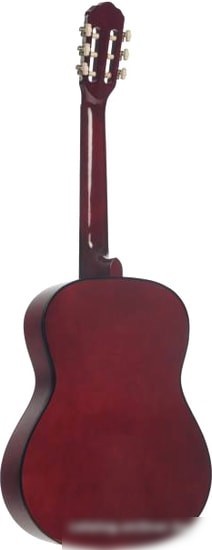Акустическая гитара Terris TC-3901A NA