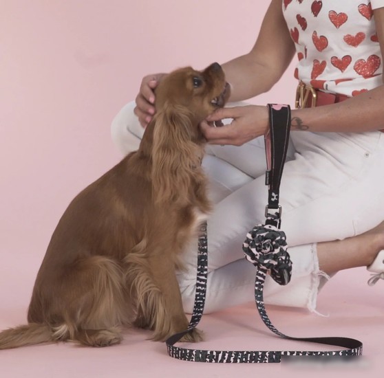 Поводок United Pets Complete Me Leash (M, розовый камуфляж)