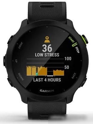 Умные часы Garmin Forerunner 55 (черный)