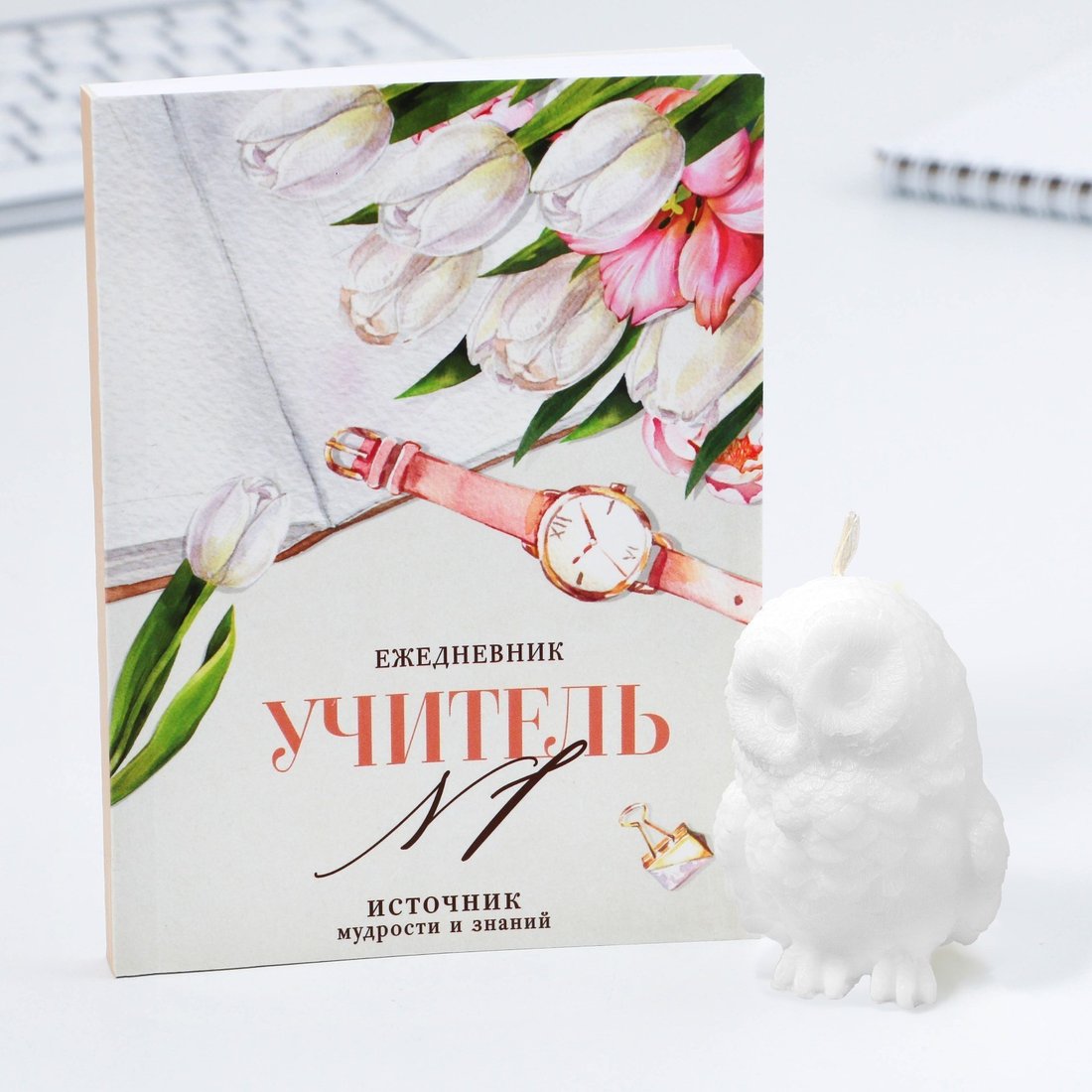 Подарочный набор ArtFox Учителю, который вдохновляет 9602065