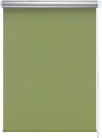 Рулонные шторы Legrand Блэкаут сильвер 98x175 58 089 696 (зеленый)