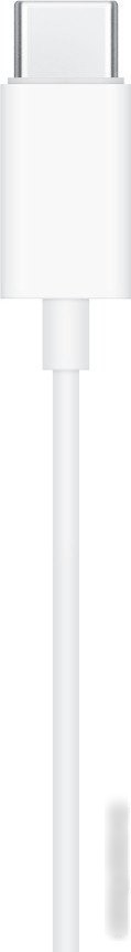 Наушники Apple EarPods (с разъёмом USB Type-C)