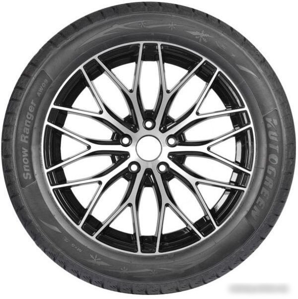 Зимние шины Autogreen Snow Ranger AW09 215/55R18 95H