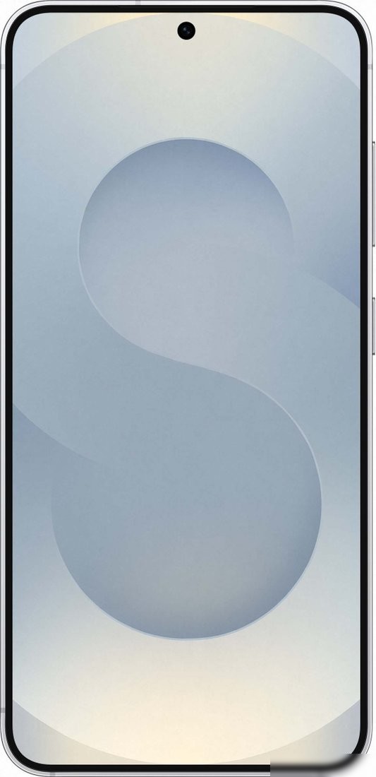 Телефон Samsung Galaxy S25 SM-S931B 12GB/256GB (серый)