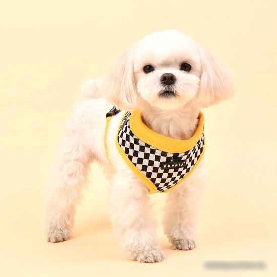 Шлейка Puppia Racer PATD-HA1767-YE-XL (желтый)