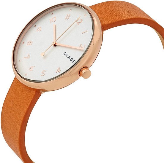 Наручные часы Skagen SKW2624