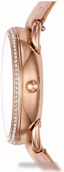 Наручные часы Fossil Tailor ES4393