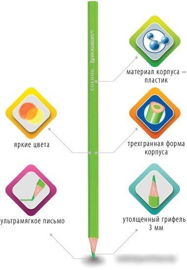 Набор цветных карандашей BRAUBERG 181663 (24 шт.)