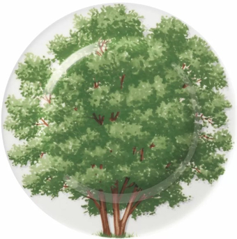 Тарелка десертная Taitu Freedom Wood 1-83-C