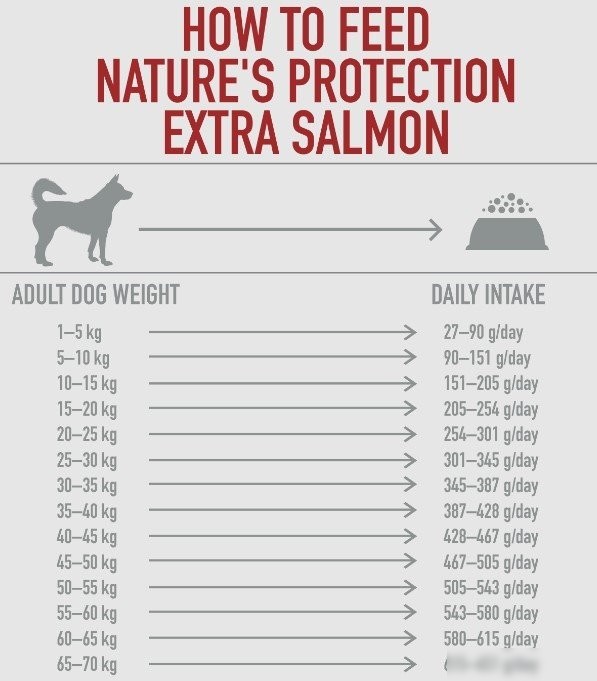 Сухой корм для собак Nature's Protection Extra Salmon Adult All Breeds NPS45752 12 кг