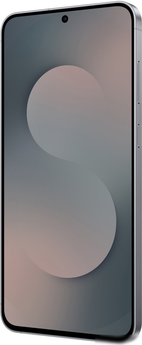 Телефон Samsung Galaxy S25 FE SM-S731B 8GB/512GB (черный)