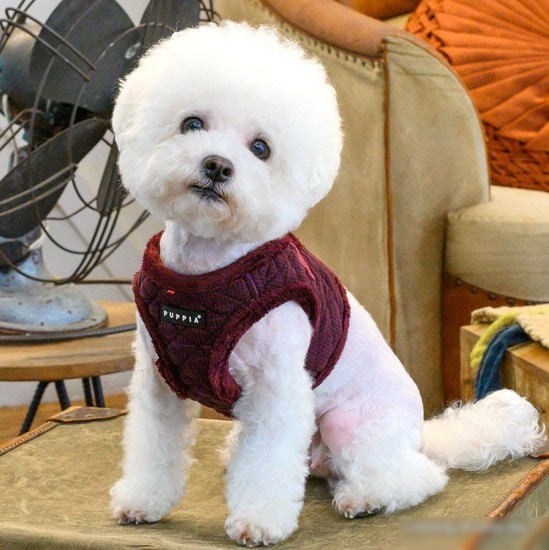 Шлейка Puppia Gaspar PAUD-HB1861-WN-XL (бордовый)