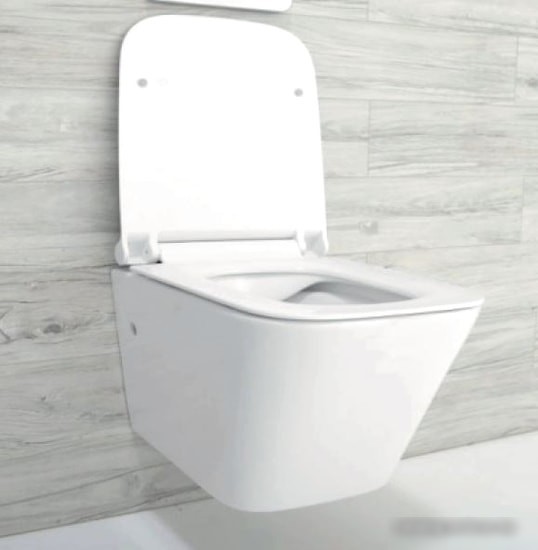 Унитаз Rea Raul Rimless REA-C9660
