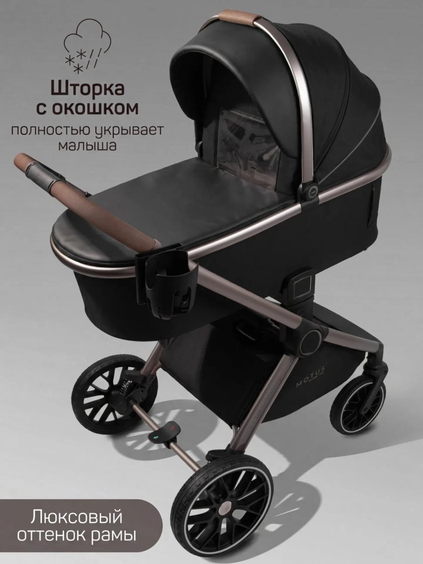 Универсальная коляска Amarobaby 2в1 Motus Premium Ecco Exclusive AB26-10MOTUSF/09 (черный)