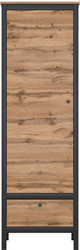 Шкаф распашной BRW Loft REG1D1S (дуб вотан/черный)