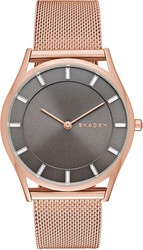 Наручные часы Skagen SKW2378