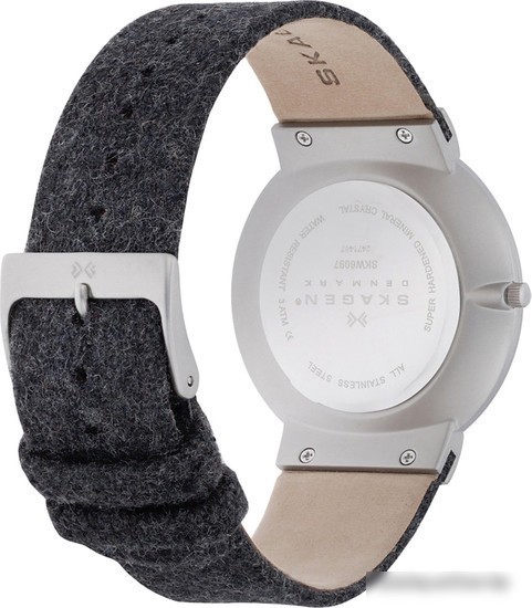 Наручные часы Skagen SKW6097