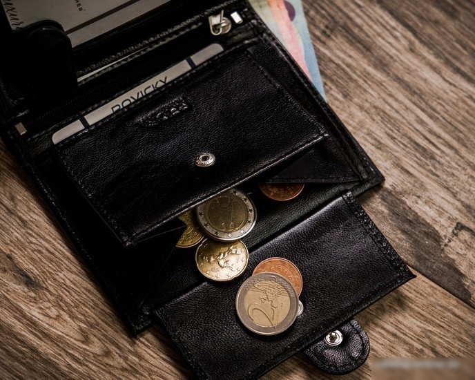 Кошелек Cedar Rovicky R-RM-10L-GCL (черный)