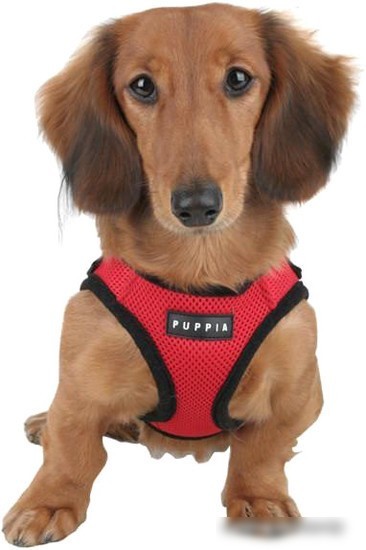 Шлейка Puppia Soft Vest PAHA-AH305-RD-L (красный)