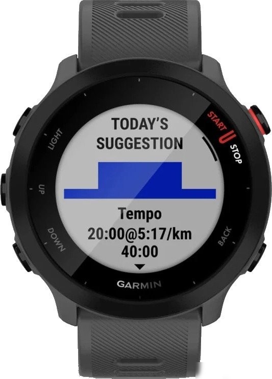 Умные часы Garmin Forerunner 55 (серый)