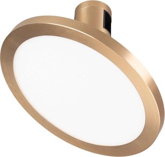 Трековый светильник Arlight ART-APRIORI-PLATO-TURN-R160-12W Warm3000 GD 120deg 039293