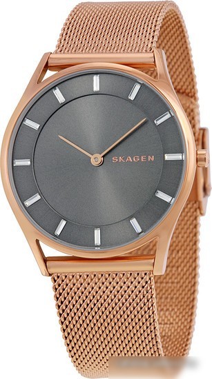 Наручные часы Skagen SKW2378