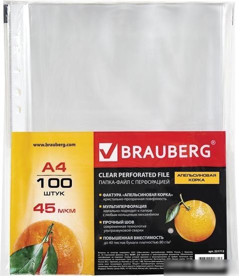 Набор файлов BRAUBERG 221713 (100 шт)